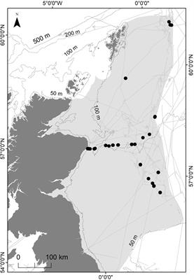 Benthic Conservation Features and Species Associated With Subsea Pipelines: Considerations for Decommissioning